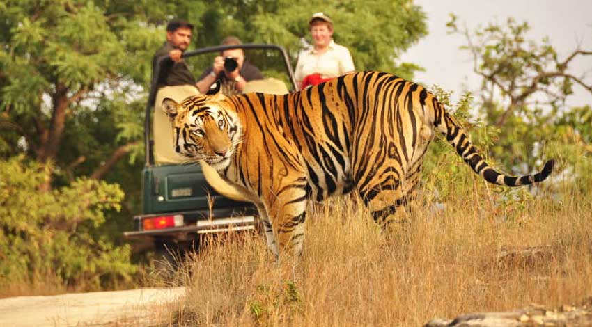 Golden Triangle with Ranthambore Tour